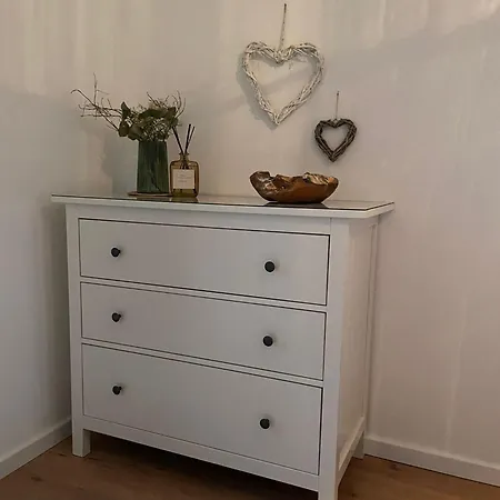 Проживание в семье Augusta *